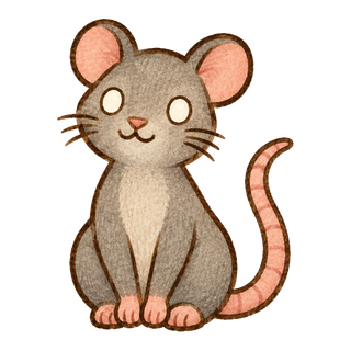 rat